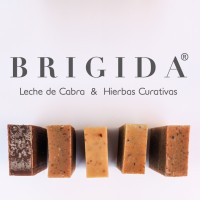 Brigida Logo
