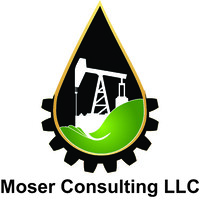 Moser Consulting, LLC Logo