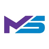 Micro Strategies Inc. Logo