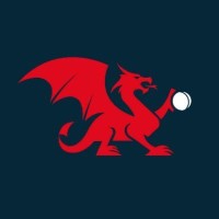 Criced Cymru / Cricket Wales Logo