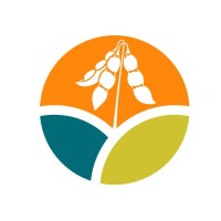 Cruzeiro do Sul Grãos Ltda Logo