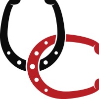 Unbridled China Logo