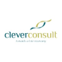 Clever Consult Logo