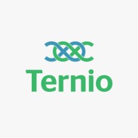 Ternio Consulting Logo