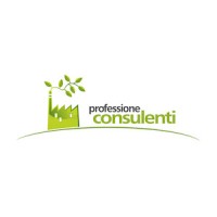 Professione Consulenti Srl Logo