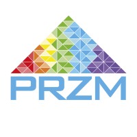 PRZM. Security. Audio. Visual. Logo