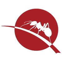 The Colony Advisors Logo