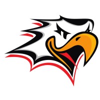 Hockey-Team Vaasan Sport Logo