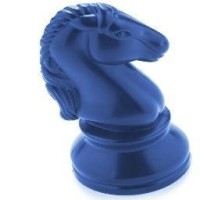 Blue Triumph Strategies, LLC Logo