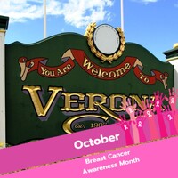 Township of Verona Logo