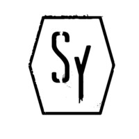 Domaine Syndicat Logo