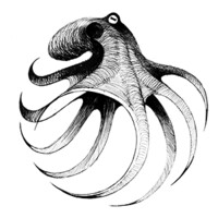 Fondation Octopus Logo