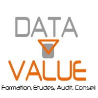 DATA VALUE Logo