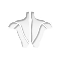 NW Chiropractic and Massage Logo