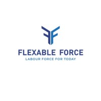 Flexable Force Logo