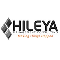 Hileya - Management Consulting Logo