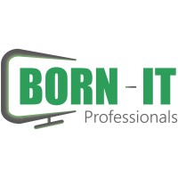 BORN-IT Professionals Logo