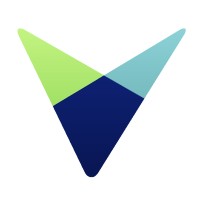 Viadex Global Logo