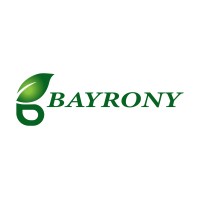 Bayrony Group Logo