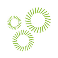 BRINGER IP Logo