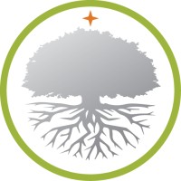 Silver Tree Consulting & Services Logo