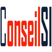 ConseilSI Logo