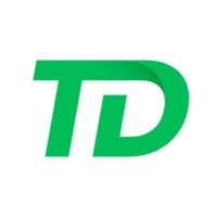 TDSOFT Team Logo
