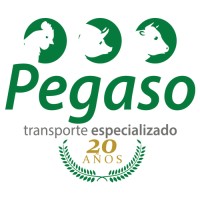 Fletera Pegaso Logo