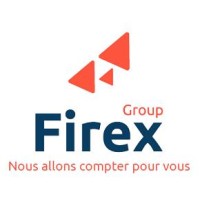 FIREX GROUP Logo