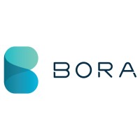 Bora Growth Partners Logo