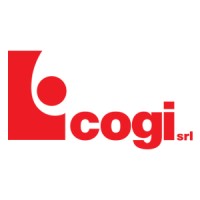 COGI srl Logo