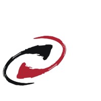 Dellacasa & Castillo Consultores Logo
