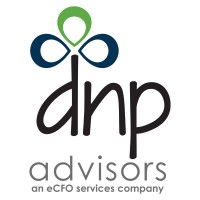 DNP Advisors Private Limited Logo