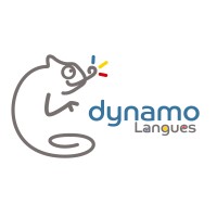Dynamo formation international Logo