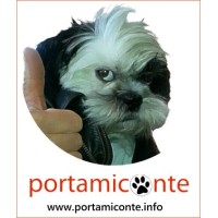 portamiconte Logo