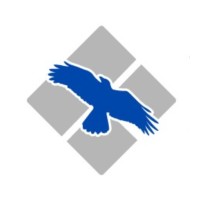 Blue Raven, Inc. Logo