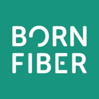 BornFiber Logo
