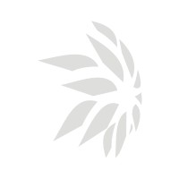 Total Trust Accounting Service Logo