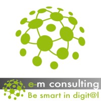 e-m consulting Logo