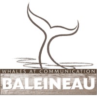 Baleineau - Whales at Communication Logo
