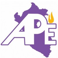 Asociación Peruana de Enfermería Logo