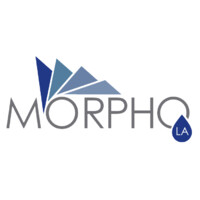 Morpho Latinoamérica Logo
