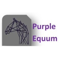 Purple Equum Limited Logo