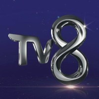 TV8 Logo