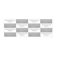Tregoning Property Logo