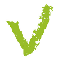The Visual Connection Logo