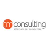 Ti.Emme.Consulting Srl Logo
