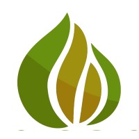 Magna Skills Development Institute Logo