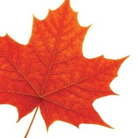 Prism Resources - Wilfrid Laurier University Logo