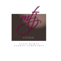 MTJ EXPERTISE CONSEIL Logo